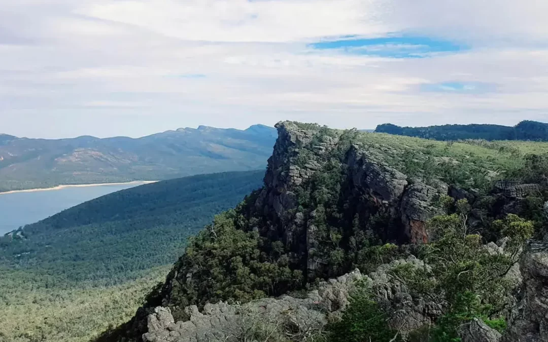 Reed Lookout