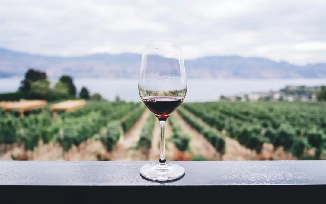 Fallen Giants Vineyard