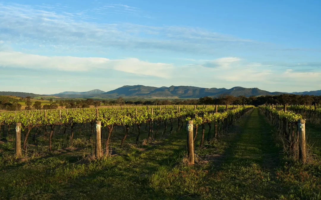Grampians Estate